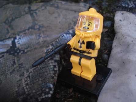 DGG-Slideshow_Snakeskin-Dirt