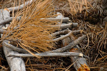 EMERGENCY-FIRE-10.jpg 29379 light a fire