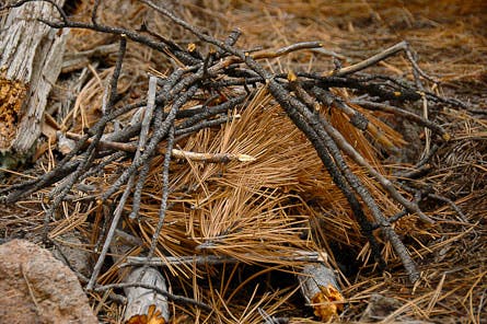 EMERGENCY-FIRE-11.jpg 29380 light a fire