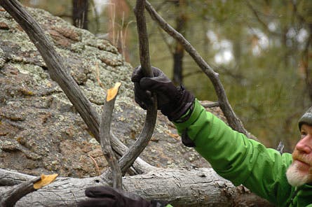 EMERGENCY-FIRE-6.jpg 29375 light a fire