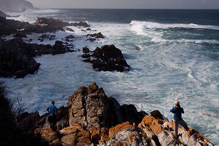 slideshow gregory z 10 445