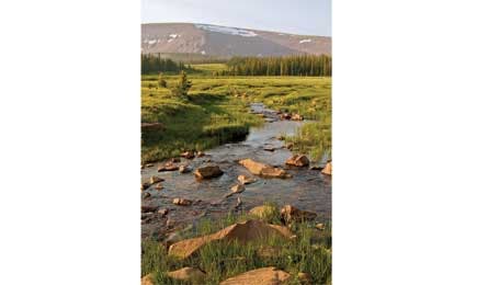 The rocky Upper East Fork of Whiterocks River flows with snowcapped mountains in the distance. 