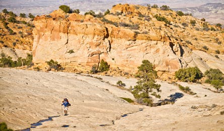 Slickrock bowl in Capitol Reef (Kim Phillips)