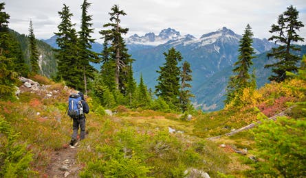 Copper Ridge Trail in North Cascades (Kim Phillips)
