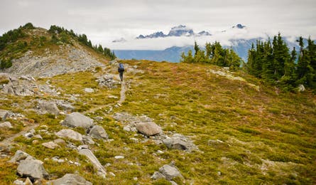 Copper Ridge Trail in North Cascades (Kim Phillips)