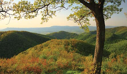 Rockytop Loop, Shenandoah National Park (Pat & Chuck Blackley)