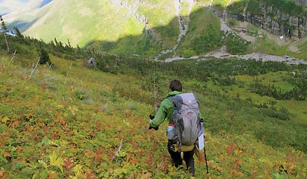 BP0611NP_glacier_IMG_2567_445x260