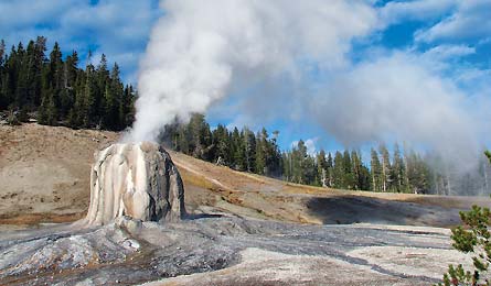 BP0611NP YELLOWSTONE CHOW Trimble-Outdoors 30357 BP0611NP_YELLOWSTONE_CHOW_Trimble-Outdoors