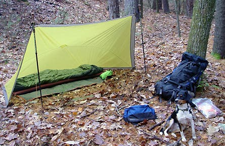 slideshow msr ewing 12 445x260