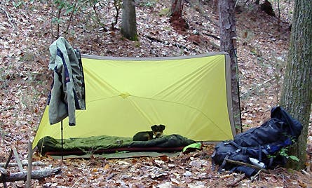 Slideshow Msr Ewing 6 445x260 29969 slideshow msr ewing 6 445x260