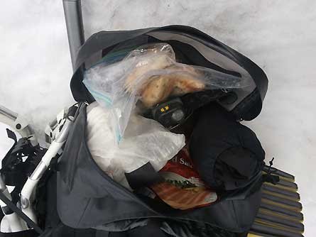 TNFZealotstuffedlid445 30191 TNF Zealot lid pack 445