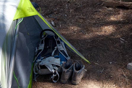 6 Phoenix-2 30456 6_Phoenix-2