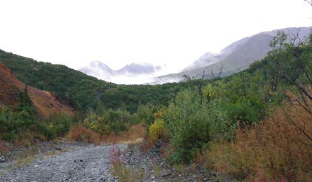 Alaska Slideshow 8 445x260 30398 alaska slideshow 8 445x260