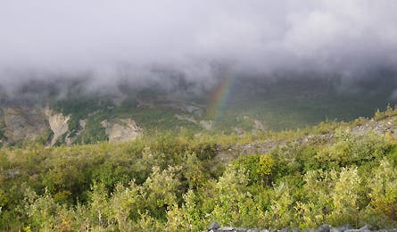 alaska slideshow 9 445x260
