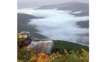 BP081150STATES Jessup RoaringPlains 445x260 30498 BP081150STATES_Jessup_RoaringPlains_445x260