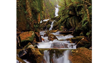 BP081150STATES Newcomer HuntingtonCascade 445x260.jpg 30495 BP081150STATES_Newcomer_HuntingtonCascade_445x260.jpg