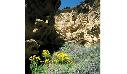 BP0811DEST CGraham LoboCanyon 445x260 30501 BP0811DEST_CGraham_LoboCanyon_445x260
