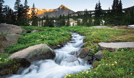 BP0911PEAK_Stensland_MtAlice_445