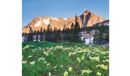 BP0911PEAK_stensland-mtalice_445