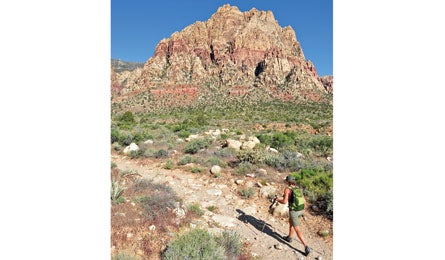 "BP0911PEAKS_hage_MtWilson_445"