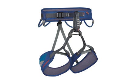 climbing harness 445x260