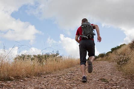 gear zone man capris 2 