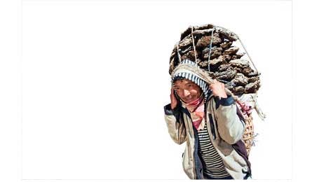 GG11 Porter 445x260 30393 GG11_Porter_445x260