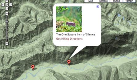 one square inch 445x260