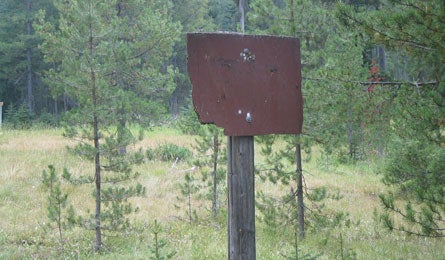 "Prof Hike First Five 445x260"