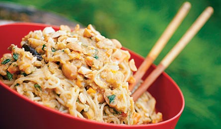 "0809 spicy peanut noodles 445x260"