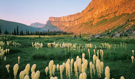 Bob Marshall Wilderness Hike