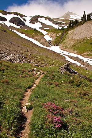 GoatRocks 300x450 30617 GoatRocks_300x450