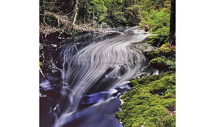 "Falls Brook (Photo by Paul Rezendes)"