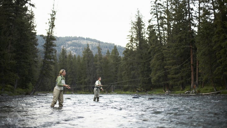 Fly Fishing Backcountry