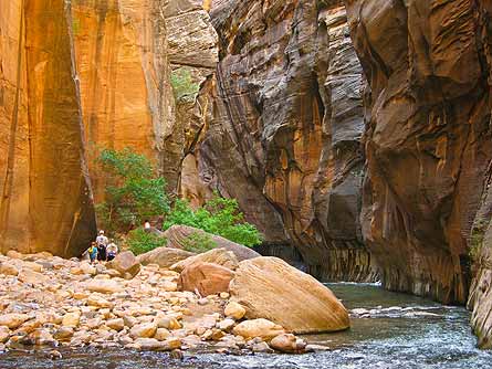 ZionNarrows 445x334 30618 ZionNarrows_445x334