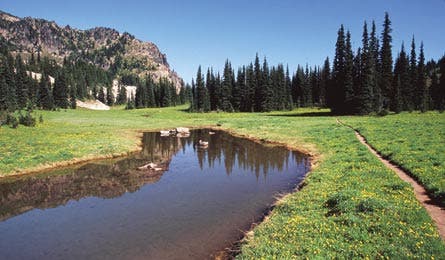 BAUER PalisadesTrail Bjk.jpg 31293 BAUER_PalisadesTrail_bjk.jpg