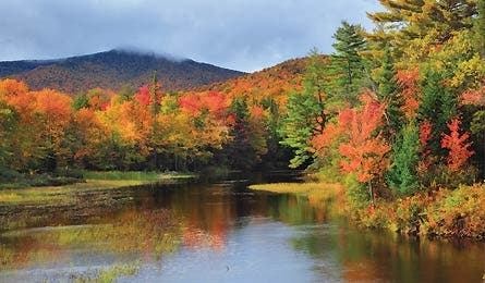 BP0911DEST_ADK_Blackley-cg445x260