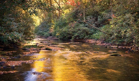 MCBRIDE 102210WNCFALL-639 Bjk.jpg 31294 MCBRIDE_102210WNCFALL-639_bjk.jpg