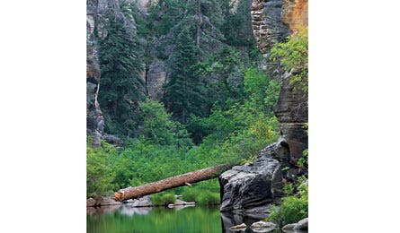 BP1111DESTRipMtn_hoffman_coconino_0053-445x260