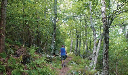 BP1111DESTRipSE_Rives_Comers_P1050988-445x260