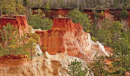 BP1111LOCAL_Rezendes_ProvCanyon_D-SPGA15-445x260