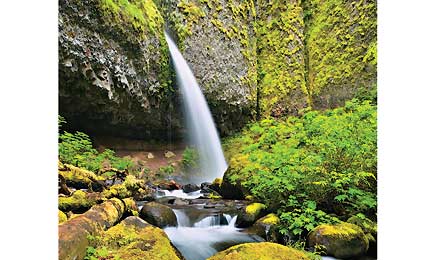 BP1111LOCAL_TKaspar_OR10531DSA-445x260