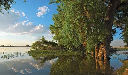 BP1111LOCAL_Tyler_BarrLake_0695-445x260