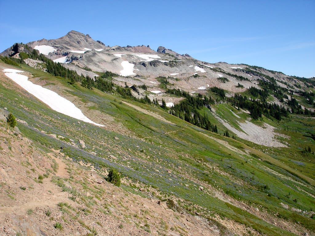 goat rocks wilderness None