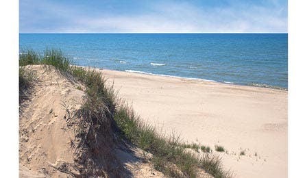 iStock_dunes_1310770S_bjk445x260.jpg