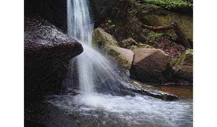 PLUMER 04358post Bjk445x260.jpg 31806 PLUMER_04358post_bjk445x260.jpg