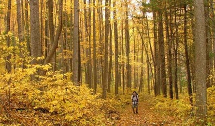 "Mathews Arm Loop, Shenandoah National Park (Photo by Jeff Chow)"