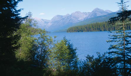 BP0112PNT Contricsiane DSCF2972 Bjk445x260 31866 Glacier National Park (Colleen Contrisciane-Lewis)