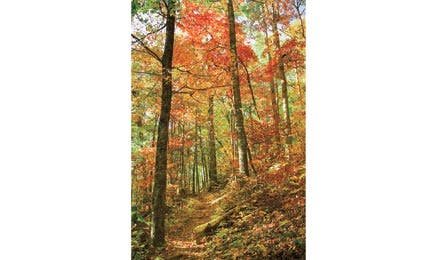 FONTANNA 7912Mb Bjk445x260.jpg 31823 FONTANNA_7912Mb_bjk445x260.jpg