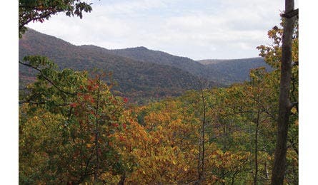 Halfmoon100 4241 Bjk445x260.jpg 31827 Halfmoon100_4241_bjk445x260.jpg